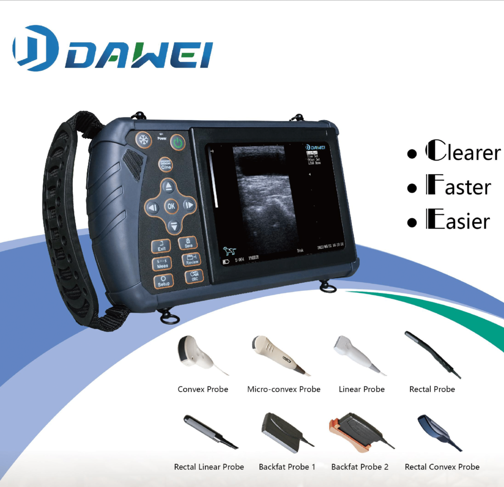 Dawei - Euro Med Health Solutions